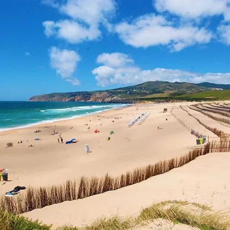 Pine - A 3m Da Ciclovia Guincho Cascais
