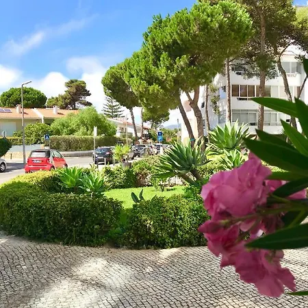 Pine - A 3m Da Ciclovia Guincho Apartamento