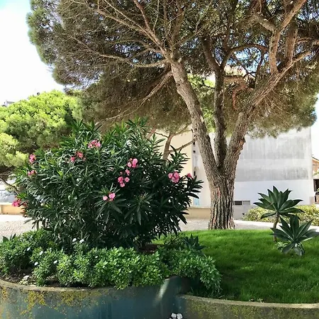 Pine - A 3m Da Ciclovia Guincho Apartamento Cascaes