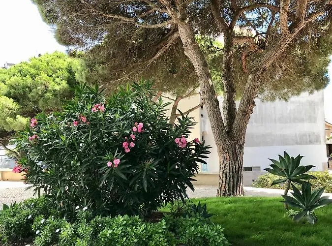 Pine - A 3m Da Ciclovia Guincho דירה קסקאיס